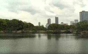 مدينة طوكيو اليابانية تبتكر جزيرة في وسطها ! ( فيديو )
