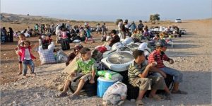 الأمم المتحدة : 65 مليون شخص فرّوا من ديارهم بسبب الصراعات