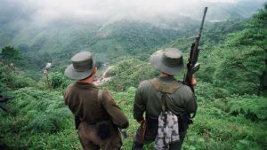 الأمم المتحدة : متمردو فارك في كولومبيا سلموا أكثر من 8000 قطعة سلاح