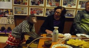 بالفيديو .. مقهى ياباني يوظف الـ ” قرود ” لخدمة الزبائن