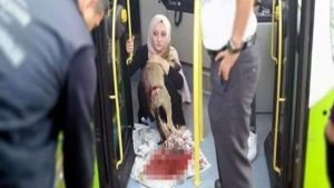 بلدية تركية تكافئ سائق حافلة أنقذ كلباً من موت محقق‎ ( فيديو )