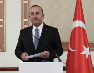 وزير خارجية تركيا : سنرى إن كان باستطاعة واشنطن استرداد سلاح وحدات الحماية الكردية في سوريا