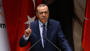 أردوغان : سندافع عن السوريين في إدلب و عفرين