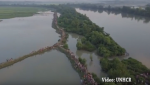 صور جوية للأمم المتحدة تظهر موجة نزوح كبيرة لمسلمي الروهينغا إلى بنغلاديش ( فيديو )