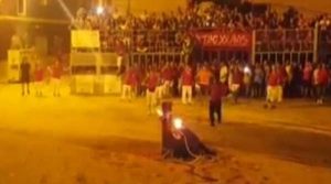 بالفيديو .. ثور يقتل نفسه بعد أن أشعل الجمهور النار في قرنيه