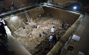 الصين : اكتشاف مقبرة ملكية أثرية سكانها ليسوا بشراً !