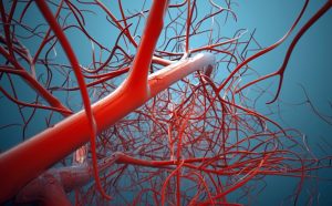 علماء يبتكرون طريقة جديدة لترميم الأوعية الدموية