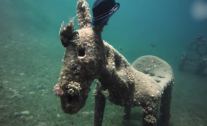 ما سر تمثال الحمار الذي عثر عليه غواص في البحر الأحمر ؟ ( فيديو )