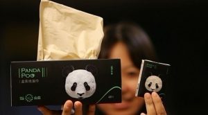 شركة صينية تنتج ورق تواليت من ” فضلات الباندا ” !