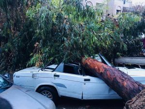 دمشق : سقوط أشجار و تضرر عدد من السيارات بسبب سوء الأحوال الجوية ( صور )