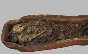 اكتشاف بقايا مومياء مصرية غامضة في تابوت بجامعة سيدني