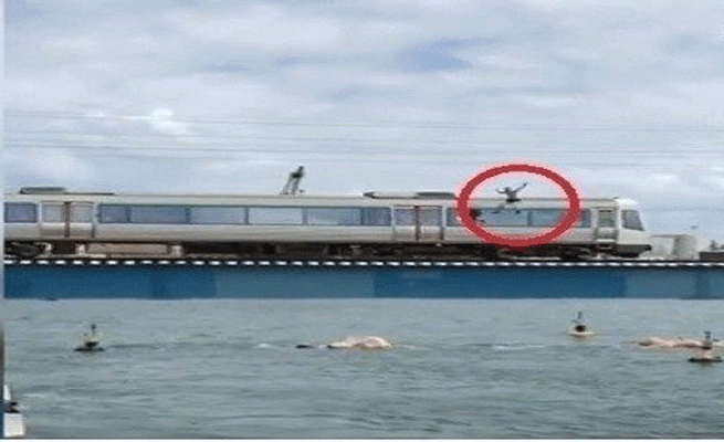 شاب أسترالي ينفذ قفزة خطرة من فوق قطار مسرع ( فيديو )