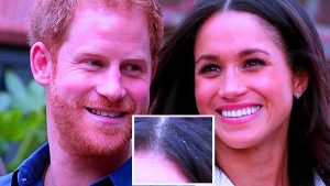 جدل دولي بسبب شعرة بيضاء ظهرت في رأس خطيبة الأمير هاري ! ( فيديو )