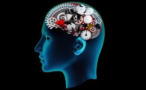 علماء :  المخ ينتج خلايا الذاكرة خلال العقد الثامن من العمر