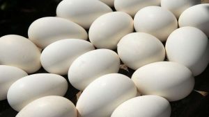 كم بيضة يمكن لمريض السكري تناولها في اليوم ؟