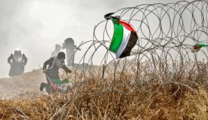 ارتفاع عدد الشهداء الفلسطينيين في غزة إلى 61