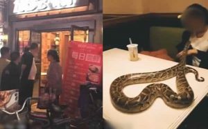 مدير مطعم صيني يفقد الوعي بسبب إحدى الزبائن !