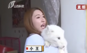 بعد عام كامل .. امرأة صينية تكتشف أن كلبها المدلل ما هو إلا ثعلب ! ( فيديو )