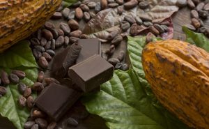علماء يطورون ” كاكاو جيني ” لضمان إنتاج الشوكولا