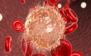علماء : سرطان الدم قد ينتج عن غياب بعض الميكروبات النافعة