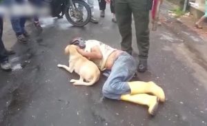 كولومبيا : كلب وفي يمنع رجال الشرطة من إيقاظ صاحبه أثناء نومه في منتصف الشارع ( فيديو )