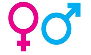 محكمة هولندية تعترف بـ ” الجنس الثالث “
