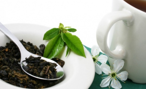علماء : مادة في الشاي الأخضر تدمر الخلايا السرطانية