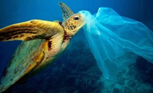 5 آلاف مليار كيس بلاستيكي ترمى سنوياً حول العالم