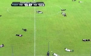 انبطاح جماعي للاعبين في الدوري الإكوادوري بعد هجوم جوي غريب ( فيديو )