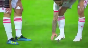 اللاعب الإسباني إيسكو يبعد عصفوراً من الملعب ( فيديو )