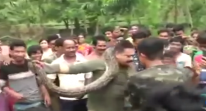 في الهند .. معركة قاتلة بين ثعبان و منقذه ( فيديو )