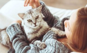 دراسة : القطط الأليفة مفيدة للصحة العقلية
