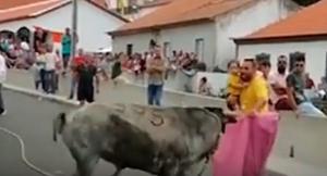 رجل برتغالي يصارع الثيران و هو يحمل طفله بين ذراعيه ! ( فيديو )