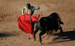 البرلمان البرتغالي يرفض حظر مصارعة الثيران