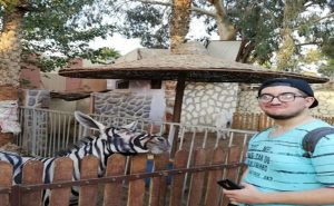 اتهام حديقة حيوانات مصرية بطلاء حمار بلدي ليصبح ” حمار وحشي ” ! ( صور )