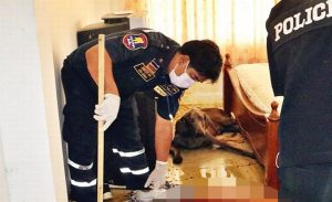 في تايلاند .. كلب يأكل جثة صاحبه بشكل كامل