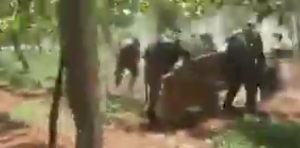 مقطع مصور متداول على نحو واسع يظهر ما قيل إنها ” لحظة مقتل ضباط كبار من الجيش النظامي ” في درعا ( فيديو )