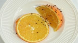 كيف تتخلص من ذباب الفاكهة دون اللجوء لمبيد حشري ؟