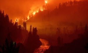 أمريكا : حريق غابات جديد في شمال كاليفورنيا