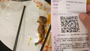 ” فأر ميت ” يكلف مطعماً صينياً 190 مليون دولار ( فيديو )