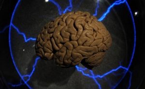 باحثون : التوتر قد يصيب الدماغ بانكماش و يضر بالذاكرة
