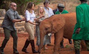 فيل يوشك أن يصدم ميلانيا ترامب في كينيا ( فيديو )