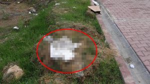 تركيا : أب و أم سوريان يدفنان جنينهما في أرض بجانب طريق .. و صحيفة تكشف حقيقة الحادثة ( فيديو )