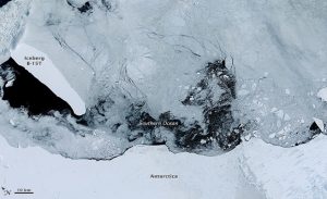 علماء يحذرون من حجم ذوبان الجليد في أنتاركتيكا منذ عام 1976 ( فيديو )