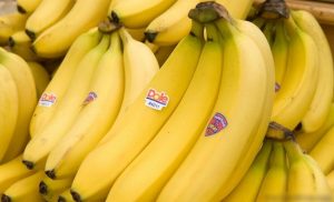 خبراء يحذرون من تناول الموز في وجبة الإفطار