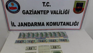 تركيا : القبض على سوريين بحوزتهم الآلاف من الدولارات المزورة في غازي عنتاب
