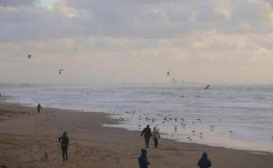 جرار مليئة بـ ” الرماد البشري ” تغزو شاطئاً هولندياً