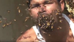 رجل هندي يأكل آلاف النحلات حية ! ( فيديو )