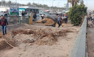 مصر : انقلبت سيارة نقل .. فسرق المارة ” البطاطا “ ! ( فيديو )