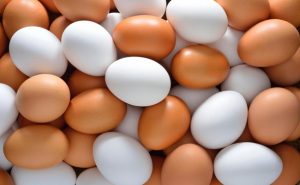 ما الفرق بين البيض الأبيض و البني ؟